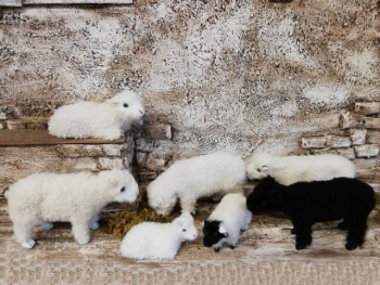Fressendes Schaf hell aus Echtfell zu 30 cm-Figuren