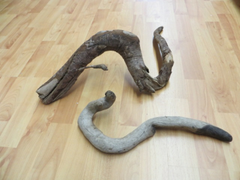 Schlangenförmige Wurzel 60 cm