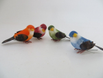 4 bunte Vögel
